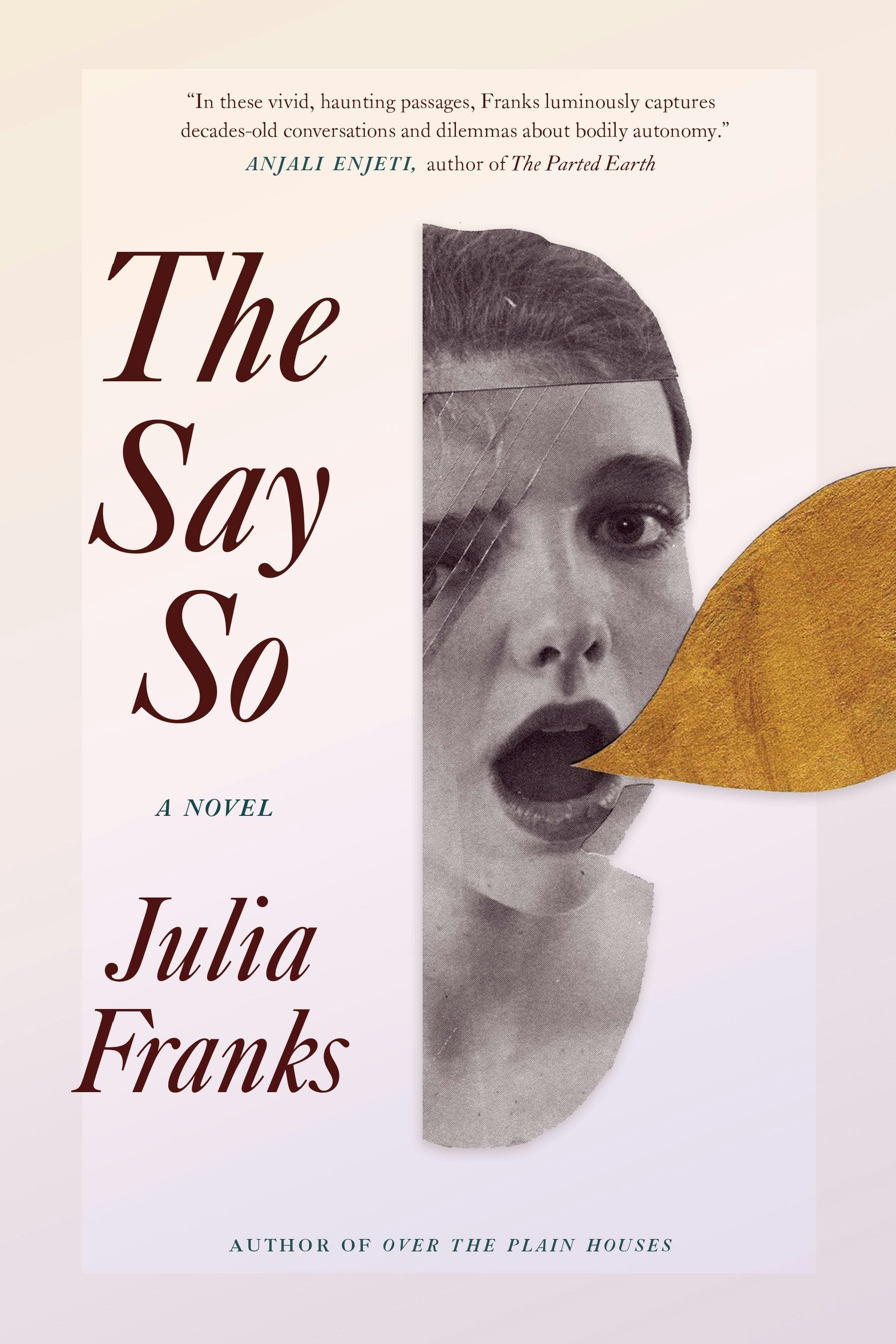 Book cover image for The Say So ISBN: 9798885740081